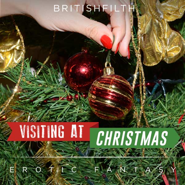 Visiting at Christmas cover image